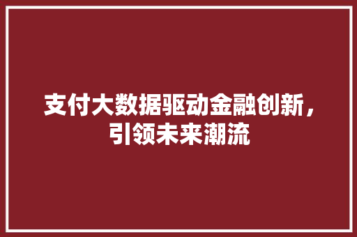 支付大数据驱动金融创新，引领未来潮流