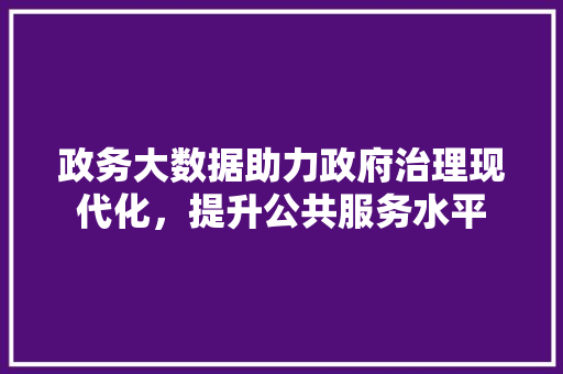 政务大数据助力政府治理现代化，提升公共服务水平