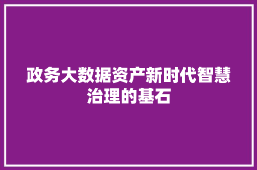 政务大数据资产新时代智慧治理的基石