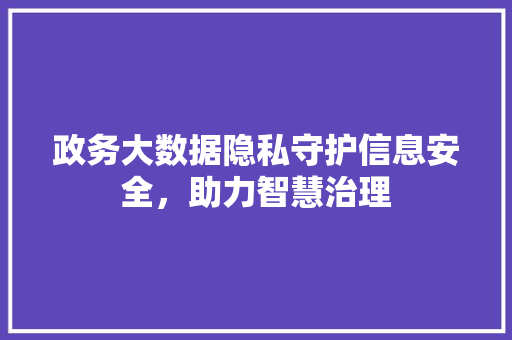 政务大数据隐私守护信息安全，助力智慧治理