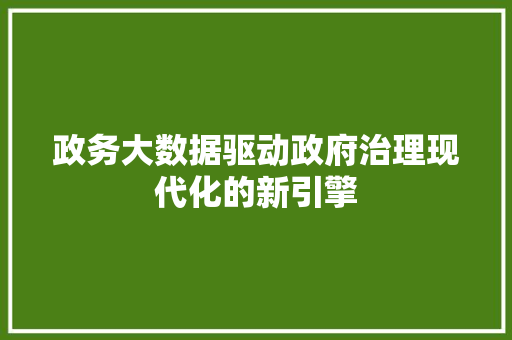 政务大数据驱动政府治理现代化的新引擎