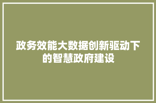 政务效能大数据创新驱动下的智慧政府建设