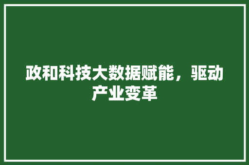 政和科技大数据赋能，驱动产业变革