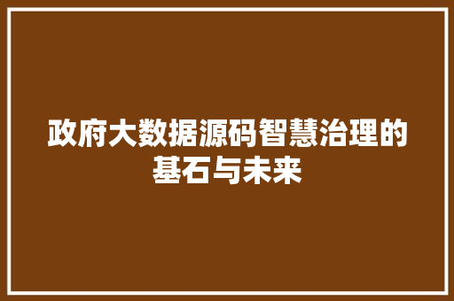 政府大数据源码智慧治理的基石与未来