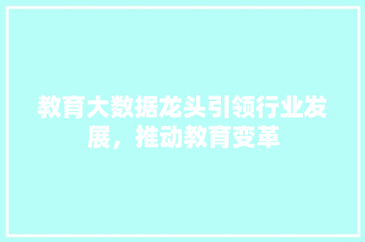 教育大数据龙头引领行业发展，推动教育变革