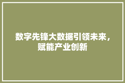 数字先锋大数据引领未来，赋能产业创新