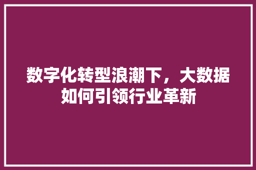 数字化转型浪潮下，大数据如何引领行业革新