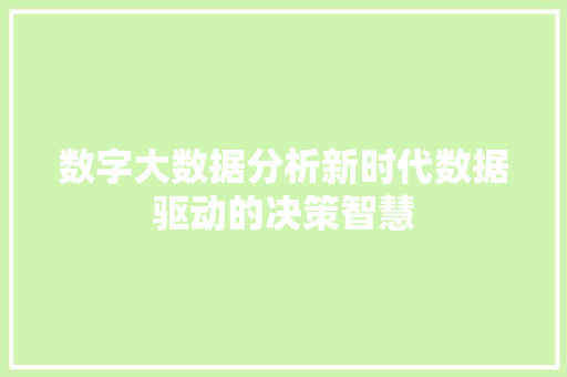 数字大数据分析新时代数据驱动的决策智慧