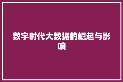 数字时代大数据的崛起与影响