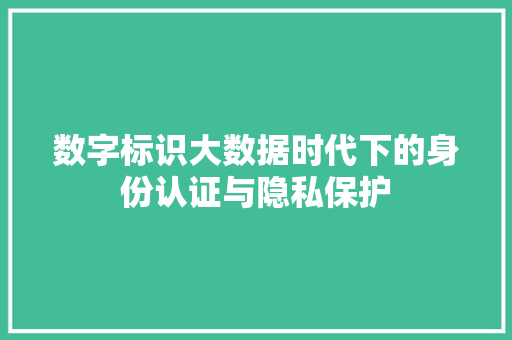 数字标识大数据时代下的身份认证与隐私保护 数字标识大数据时代下的身份认证与隐私保护