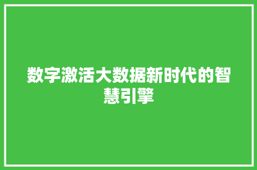 数字激活大数据新时代的智慧引擎 操作系统
