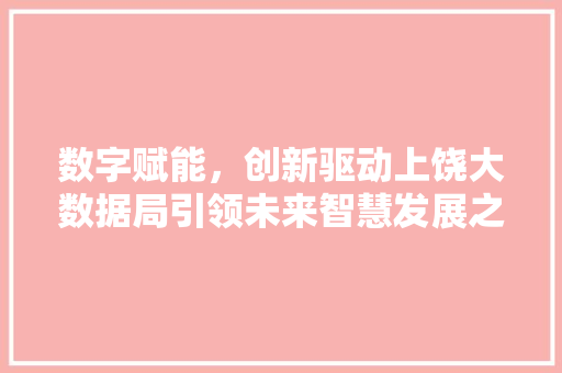数字赋能，创新驱动上饶大数据局引领未来智慧发展之路