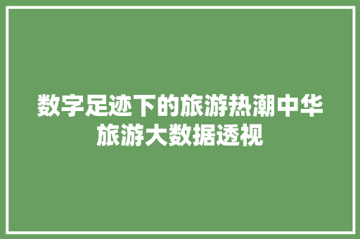 数字足迹下的旅游热潮中华旅游大数据透视 编程语言