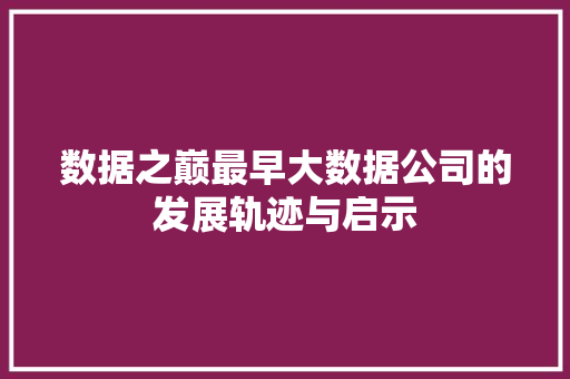 数据之巅最早大数据公司的发展轨迹与启示