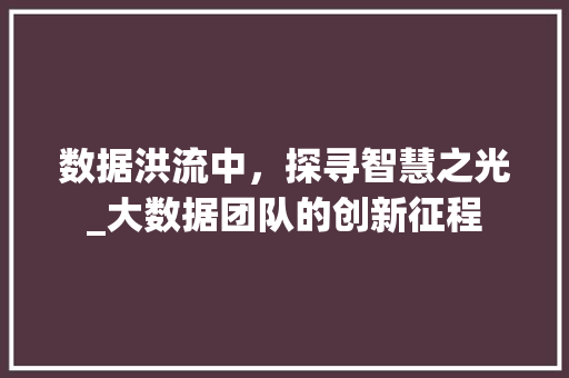 数据洪流中，探寻智慧之光_大数据团队的创新征程