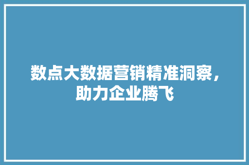 数点大数据营销精准洞察，助力企业腾飞