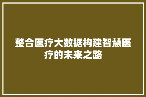整合医疗大数据构建智慧医疗的未来之路