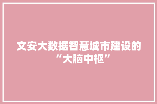 文安大数据智慧城市建设的“大脑中枢”