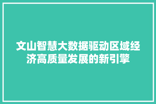文山智慧大数据驱动区域经济高质量发展的新引擎
