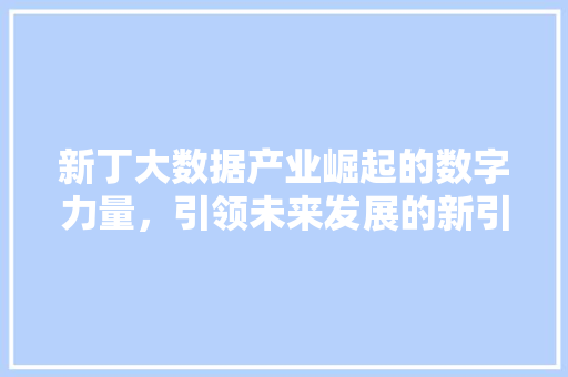 新丁大数据产业崛起的数字力量，引领未来发展的新引擎