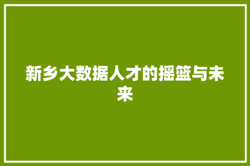 新乡大数据人才的摇篮与未来