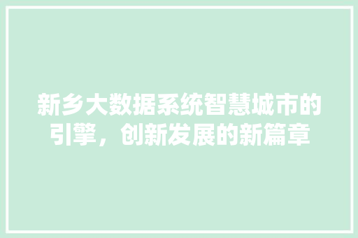 新乡大数据系统智慧城市的引擎，创新发展的新篇章 操作系统