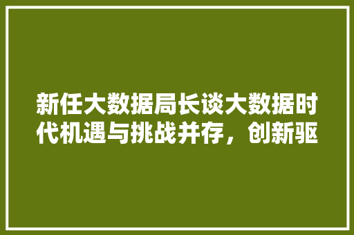 新任大数据局长谈大数据时代机遇与挑战并存，创新驱动发展