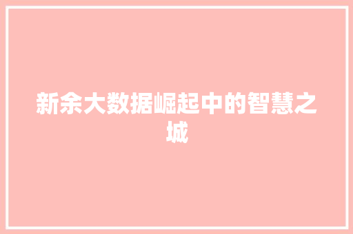 新余大数据崛起中的智慧之城 新余大数据崛起中的智慧之城