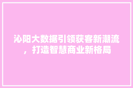 沁阳大数据引领获客新潮流，打造智慧商业新格局
