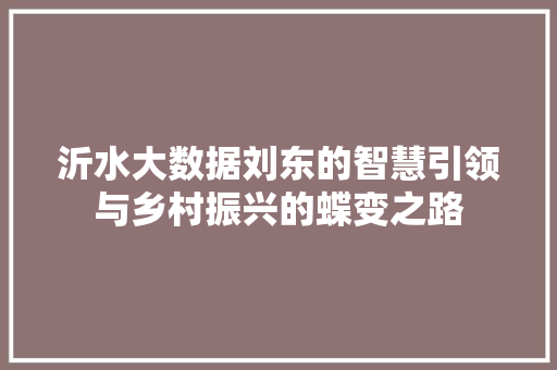 沂水大数据刘东的智慧引领与乡村振兴的蝶变之路