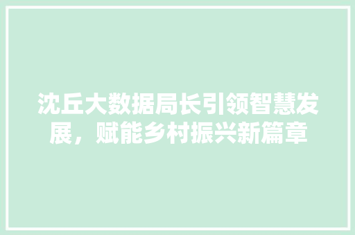 沈丘大数据局长引领智慧发展,赋能乡村振兴新篇章 沈丘大数据局长引领智慧发展,赋能乡村振兴新篇章