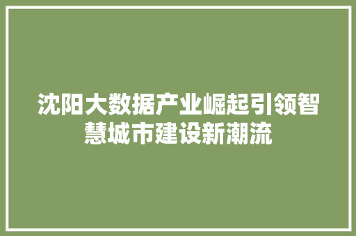 沈阳大数据产业崛起引领智慧城市建设新潮流