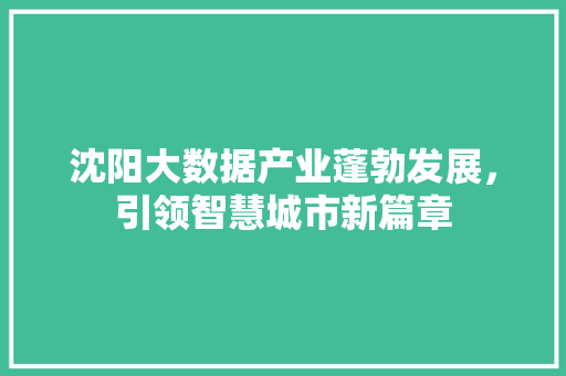 沈阳大数据产业蓬勃发展，引领智慧城市新篇章