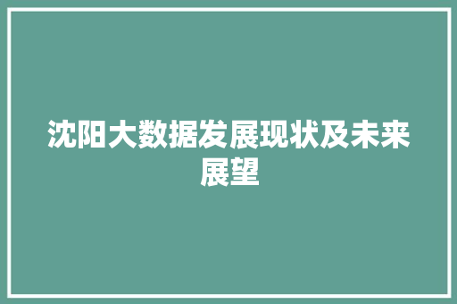沈阳大数据发展现状及未来展望