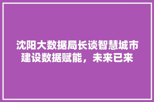 沈阳大数据局长谈智慧城市建设数据赋能，未来已来