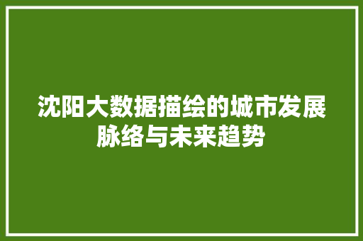 沈阳大数据描绘的城市发展脉络与未来趋势