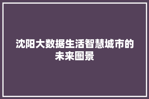 沈阳大数据生活智慧城市的未来图景