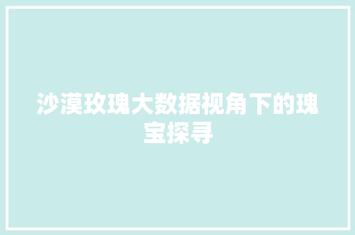 沙漠玫瑰大数据视角下的瑰宝探寻