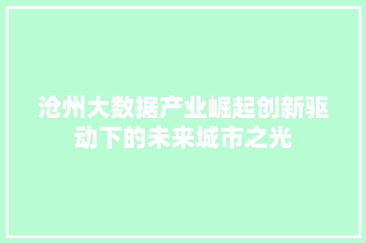 沧州大数据产业崛起创新驱动下的未来城市之光