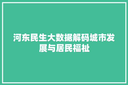 河东民生大数据解码城市发展与居民福祉