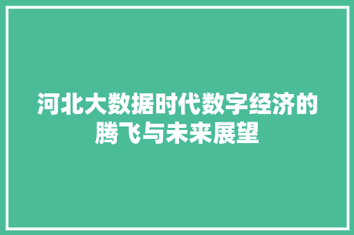河北大数据时代数字经济的腾飞与未来展望