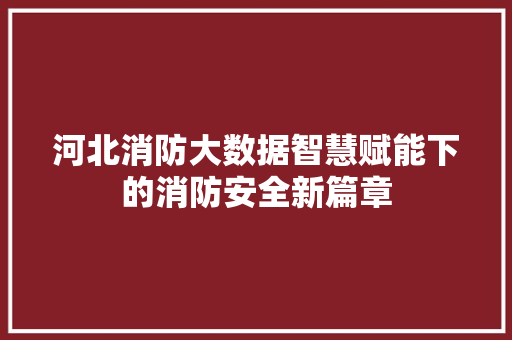 河北消防大数据智慧赋能下的消防安全新篇章 编程语言