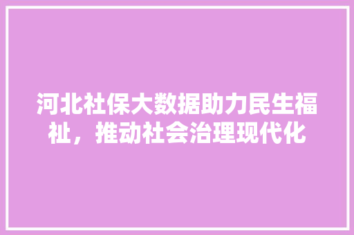 河北社保大数据助力民生福祉，推动社会治理现代化 电脑基础