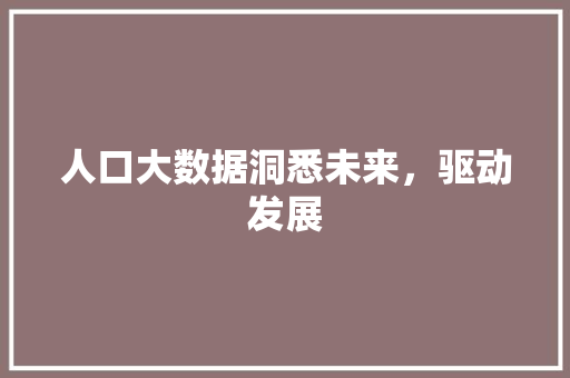 人口大数据洞悉未来，驱动发展