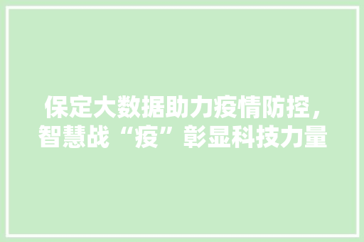 保定大数据助力疫情防控，智慧战“疫”彰显科技力量