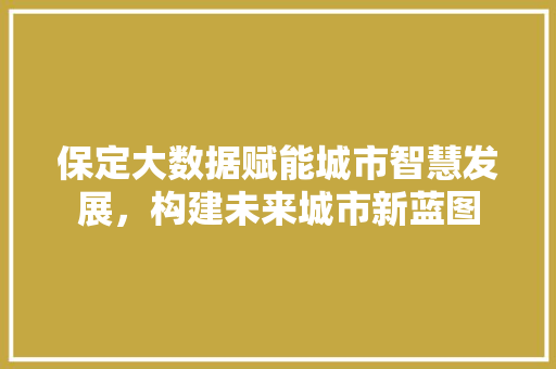 保定大数据赋能城市智慧发展，构建未来城市新蓝图