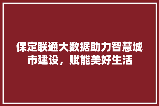 保定联通大数据助力智慧城市建设，赋能美好生活
