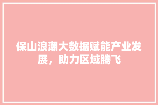 保山浪潮大数据赋能产业发展，助力区域腾飞