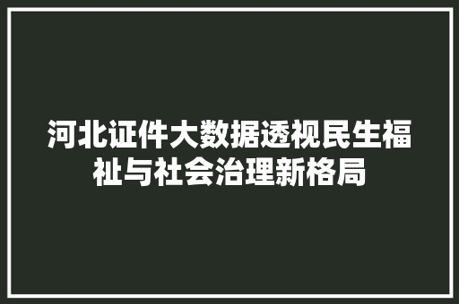 河北证件大数据透视民生福祉与社会治理新格局