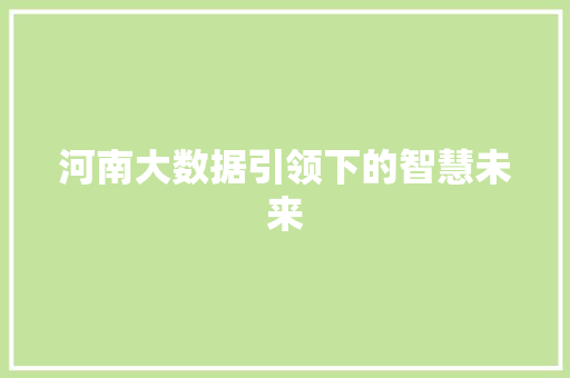 河南大数据引领下的智慧未来